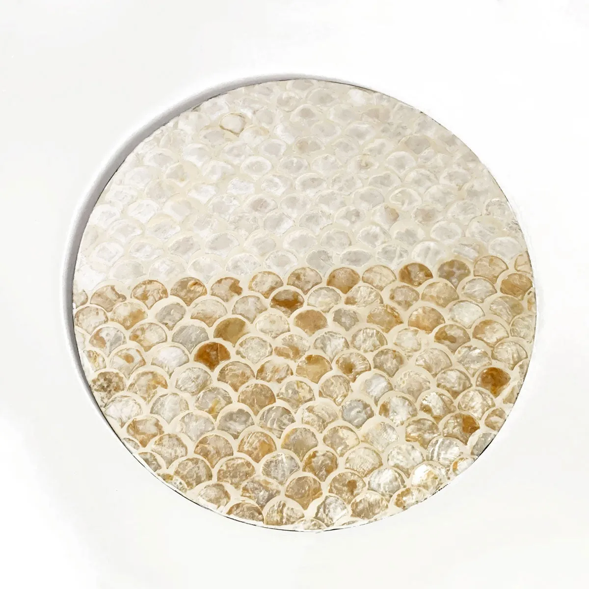 Exquisite Shell Placemats